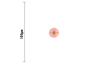 Spot Diagram for 25mm Dia. x 25mm FL Hybrid Ge Aspheric Lens