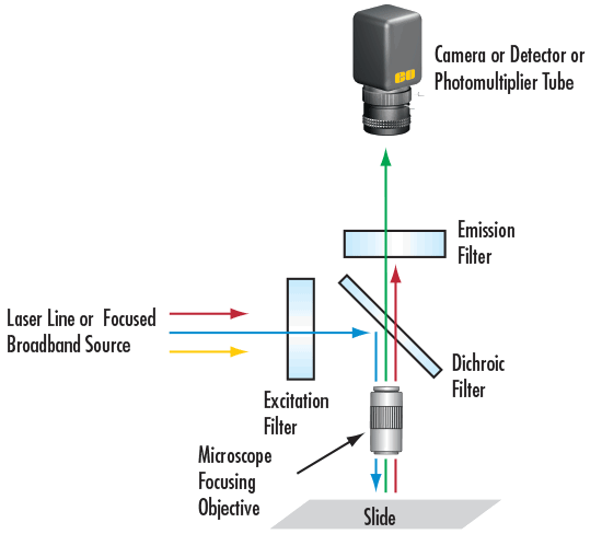 Basic Optical Filtering Arrangement for Fluorescence Microscopy