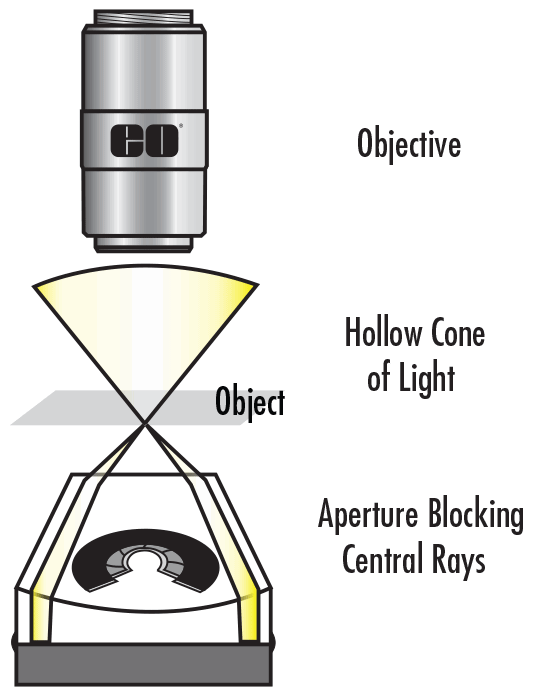 Darkfield Illumination Setup