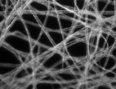 Darkfield Illumination Image of Tissue Paper