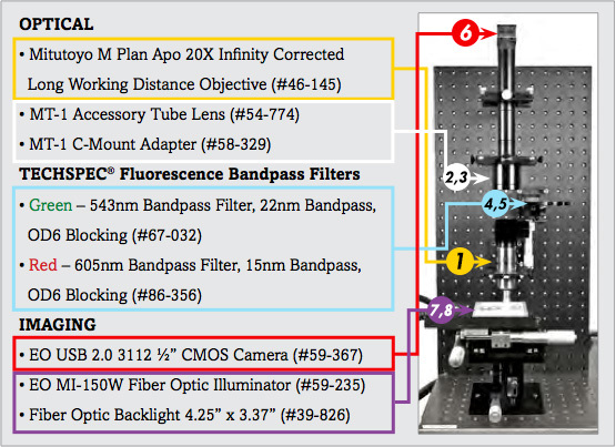 Components for Analysis of Trichrome Stain Setup