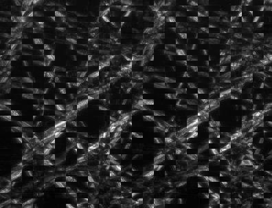 Polarization-Contrast Image of Tissue Paper