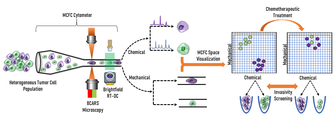 Figure 1: The mechano-chemical flow cytometer (MCFC), shown above, combines imaging technologies to distinguish heterogeneous cancerous cells in their response to chemotherapeutic treatment.