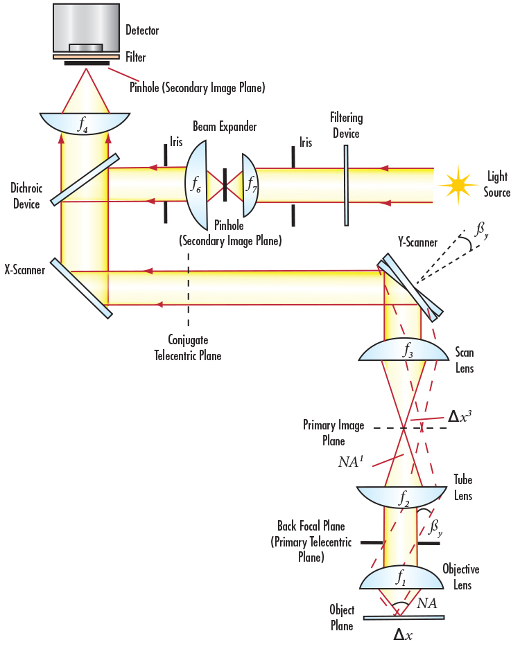 Flow Cytometry