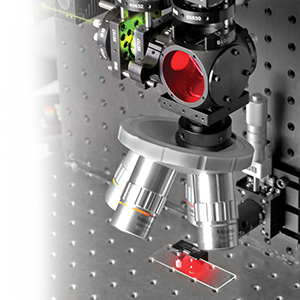 Diagnostic Techniques