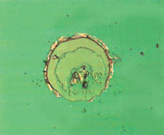 Coating Failure due to Poor Process Control