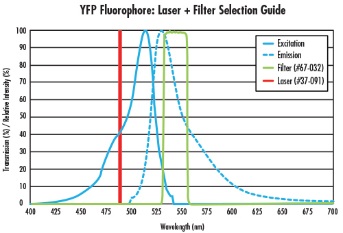 fig 3 Fluorescence Imaging with Laser Illumination