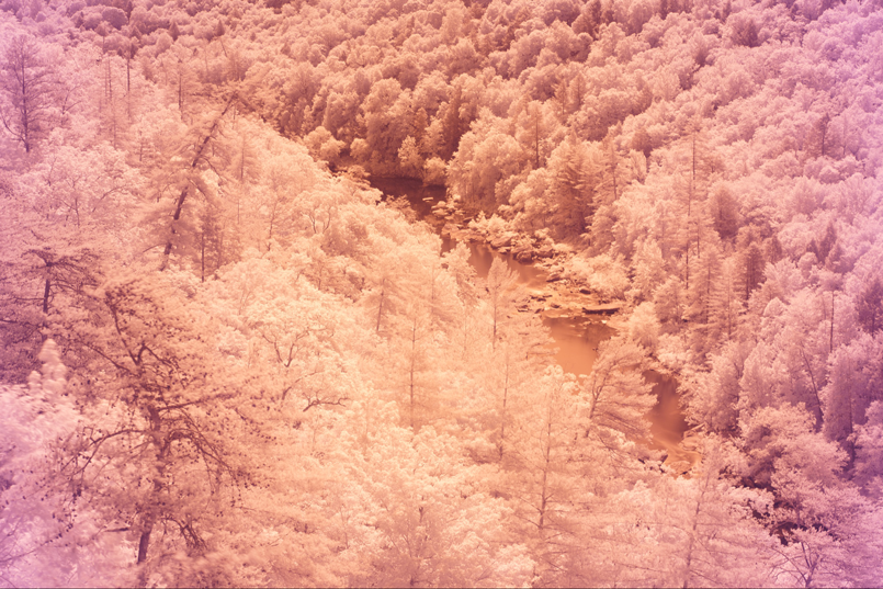 These images are of a creek passing through a forest of trees. The leftmost image is a standard color image. The center image is created only from IR wavelengths outside of the visible spectrum. The third image is a false color image created from the wavelength information of the first two images and can be used to identify the health of the trees and the presence of any man-made objects. Image courtesy of Benjamin Margulies.