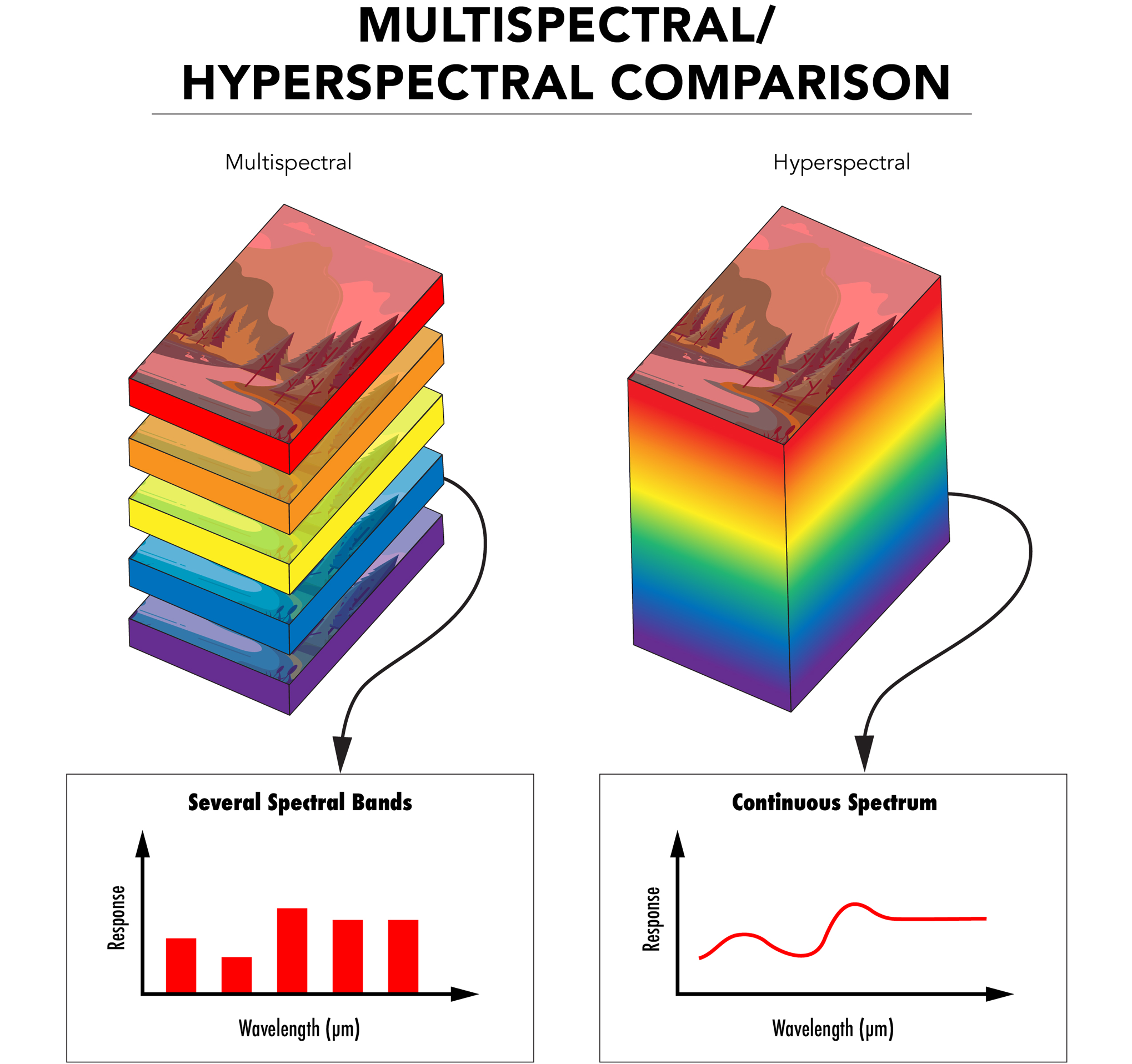 The difference between MS and HS imaging is whether wavelength information is represented discretely or continuously, respectively.