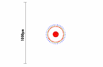 Spot Diagram of 25mm Dia. x 25mm FL Achromatic Lens
