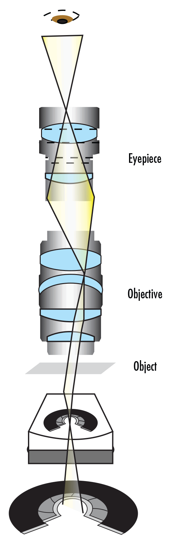 Koehler Illumination Setup