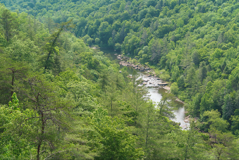 These images are of a creek passing through a forest of trees. The leftmost image is a standard color image. The center image is created only from IR wavelengths outside of the visible spectrum. The third image is a false color image created from the wavelength information of the first two images and can be used to identify the health of the trees and the presence of any man-made objects. Image courtesy of Benjamin Margulies.