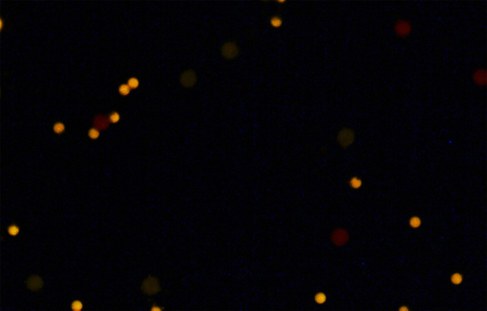 Fluorescence Microscopy using an OD 4 Filter